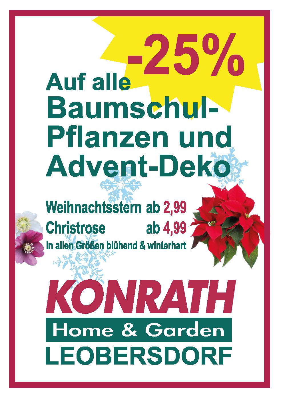 Weihnachts Aktionen in Leobersdorf